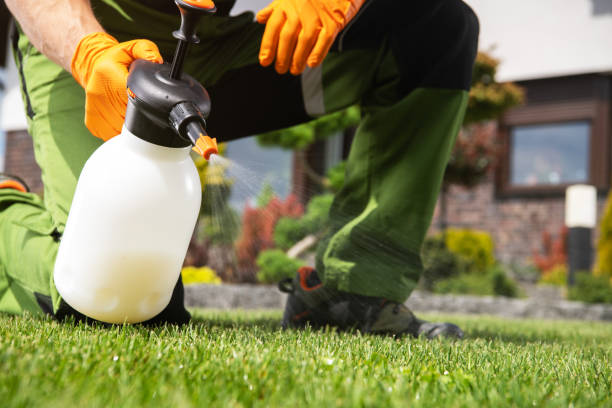 Best Pest Inspection Near Me  in East Riverdale, MD