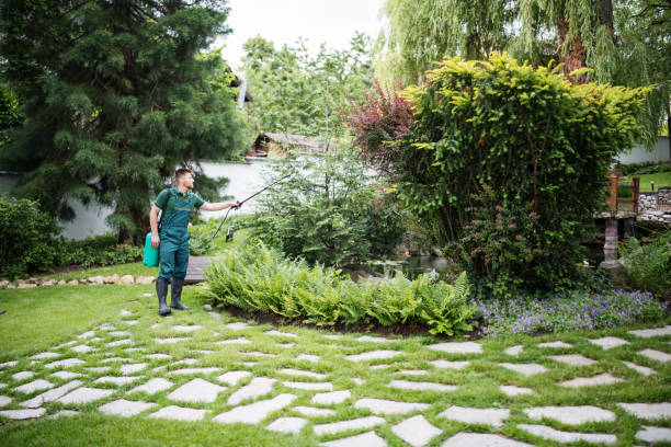 Best Pest Inspection Near Me  in East Riverdale, MD