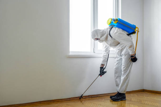 Best Local Pest Control Services  in East Riverdale, MD