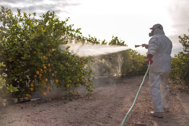 Best Emergency Pest Control  in East Riverdale, MD