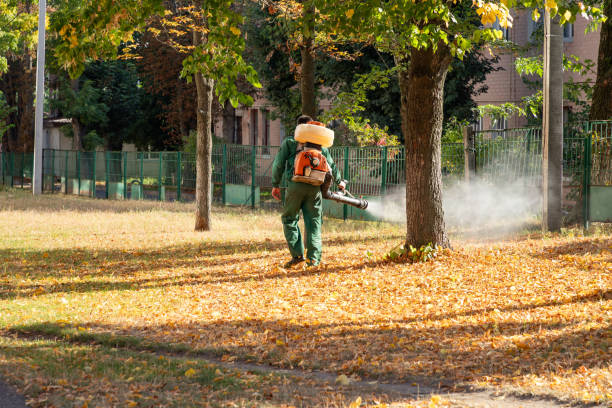 Best Residential Pest Control  in East Riverdale, MD