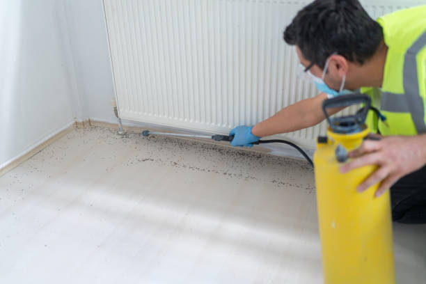 Best Commercial Pest Control Services  in East Riverdale, MD